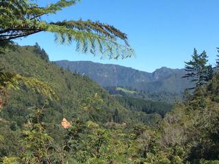 Coromandel views