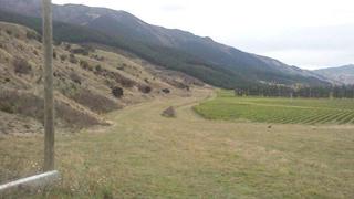 Fairfield Downs strip