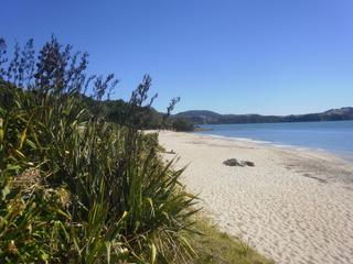Front Beach, Mercury Bay