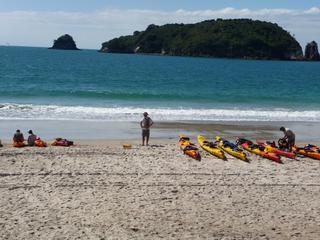 Hahei Beach scene