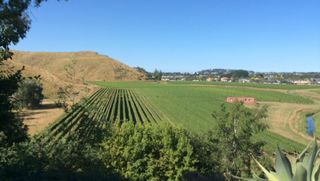 Day 3. Napier