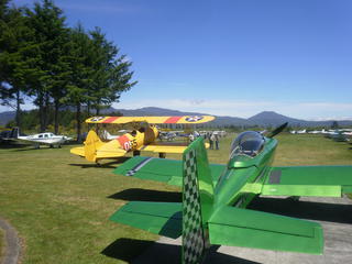 Turangi Fly in
