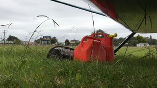 Wildfoods Hokitika Part 4